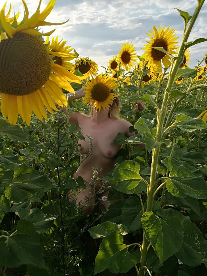 Słoneczniki.jpg - 2Krokodyle