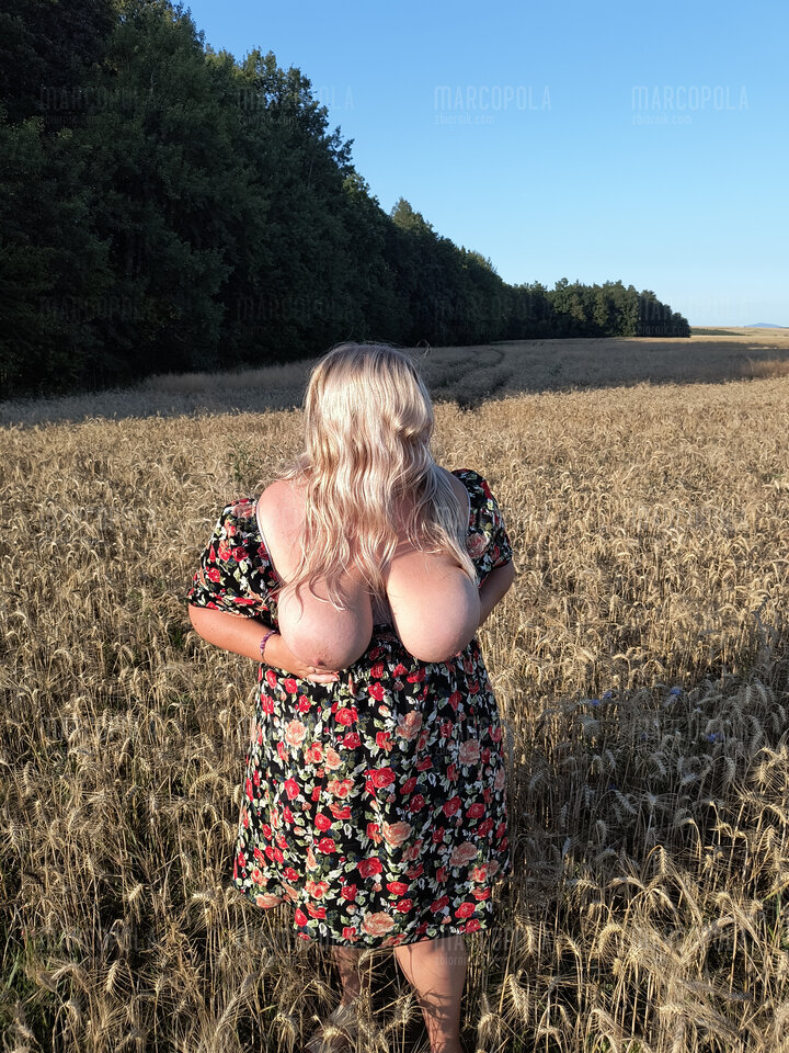 IMG_20240719_185540648.jpg - MarcoPola