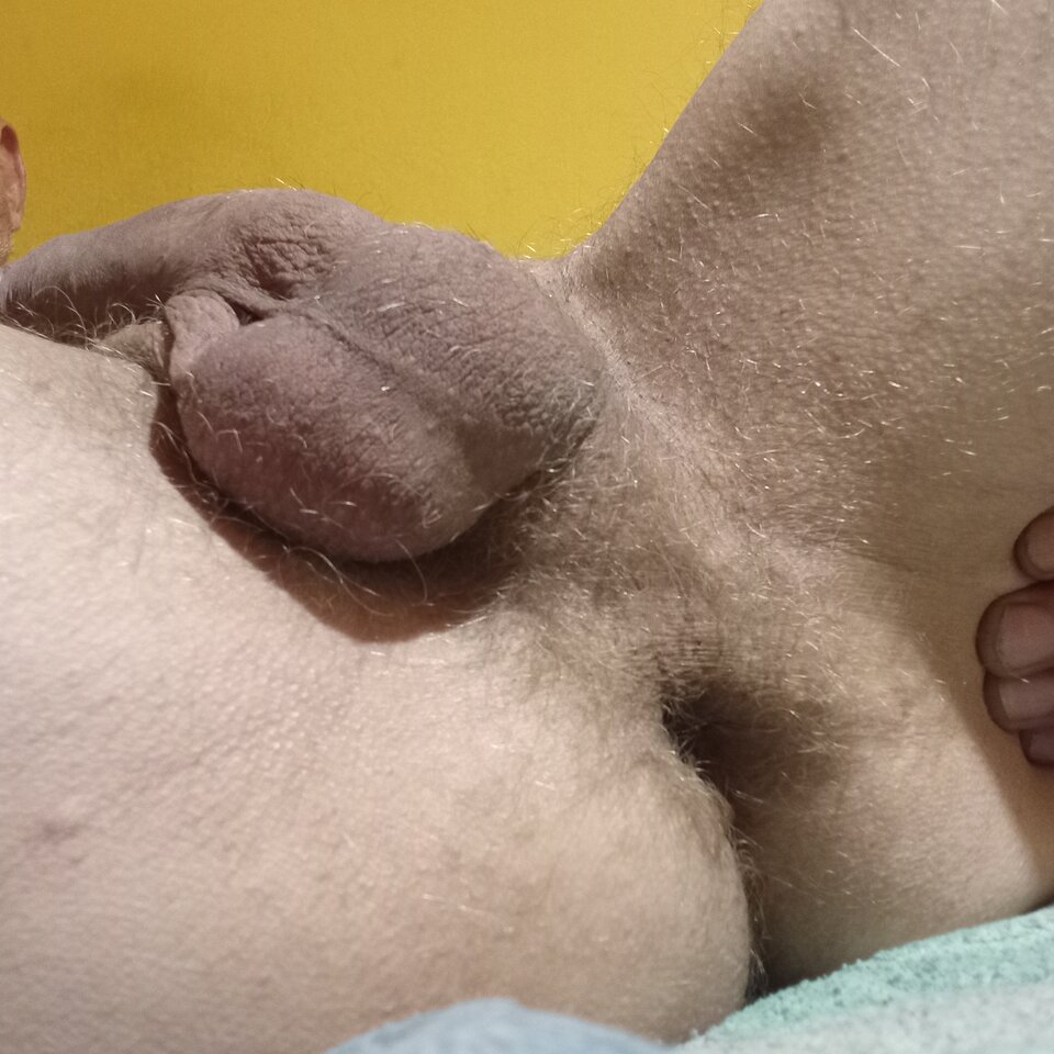 1000003501.jpg - brus13