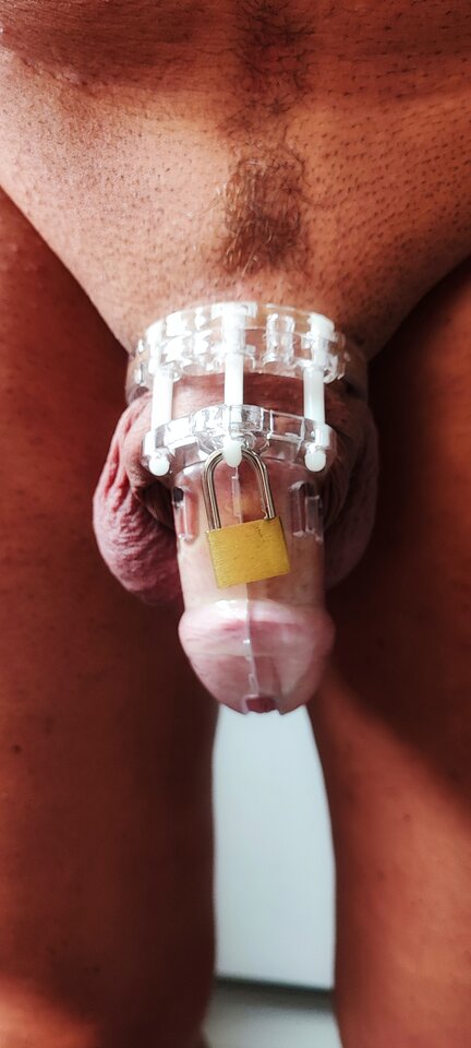 1721449749293.jpg - zatraceniec