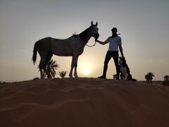 IMG_20240313_180704.jpg