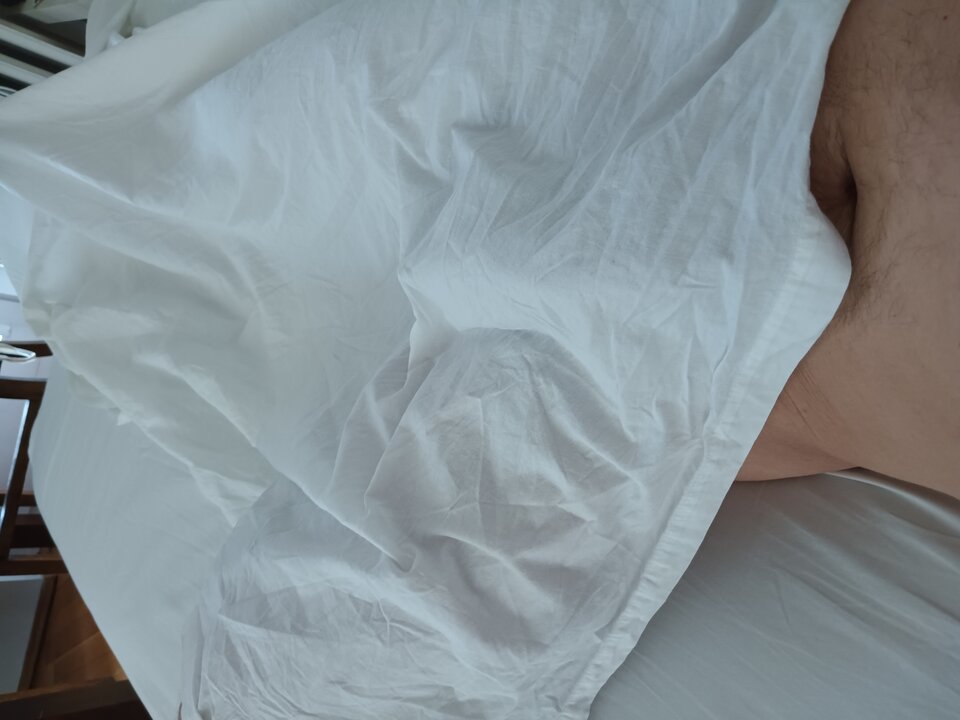 IMG_20240720_094948.jpg - Anton0528