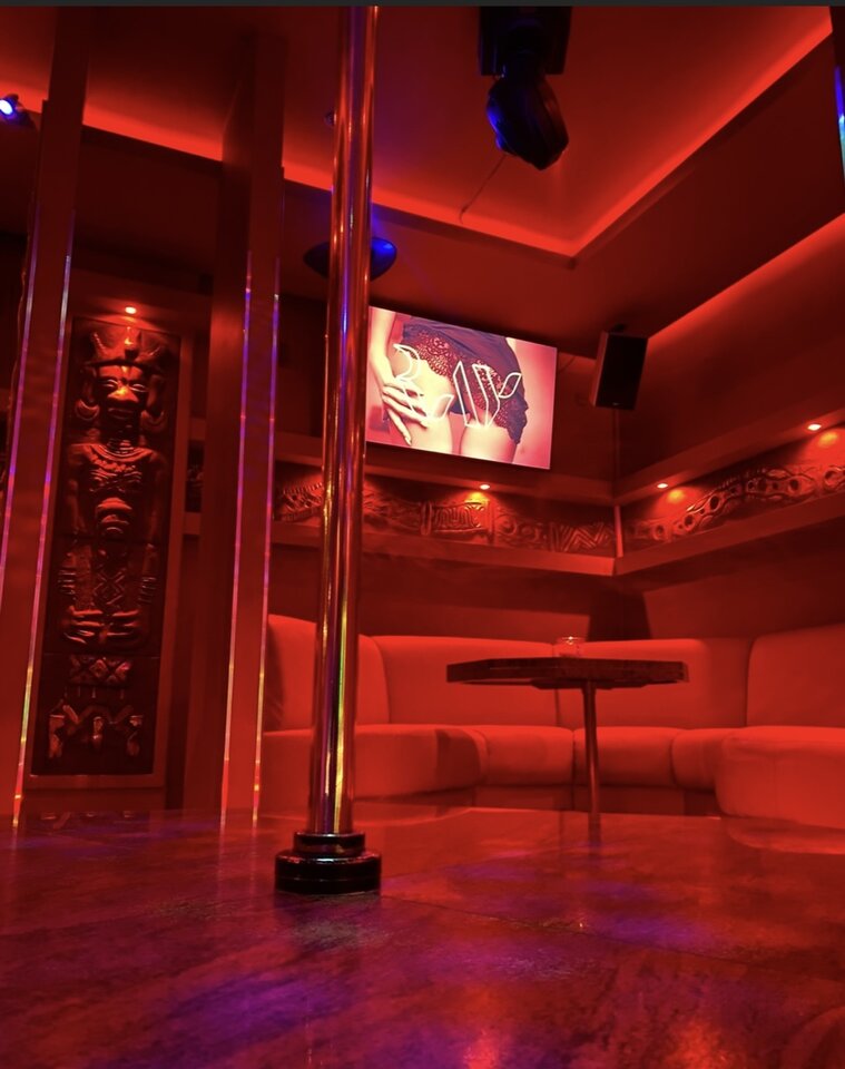 IMG_9091.jpeg - PiggyiKermit