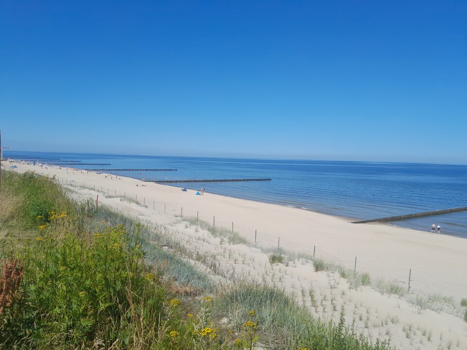 20240720_105359.jpg - Johnny15003