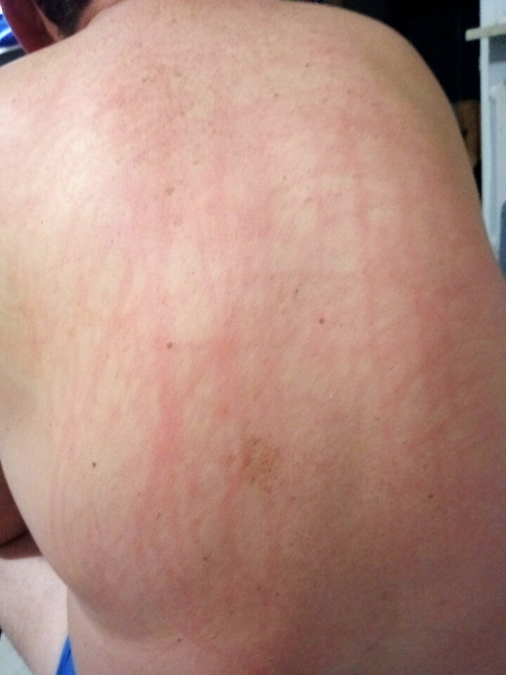 IMG20240719214724.jpg - sympatyczni700