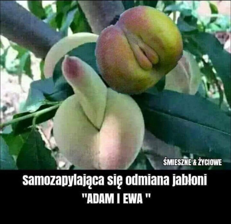 Zdjęcie z internetu - Eurydyka2956