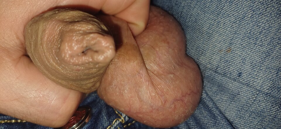 Napletek i jaja lizac do spermy - Fiutkutaschujjaja