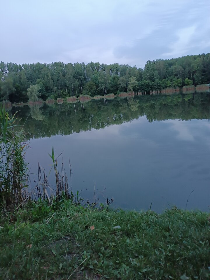 17215014966132797590587553494836.jpg - Erdorro