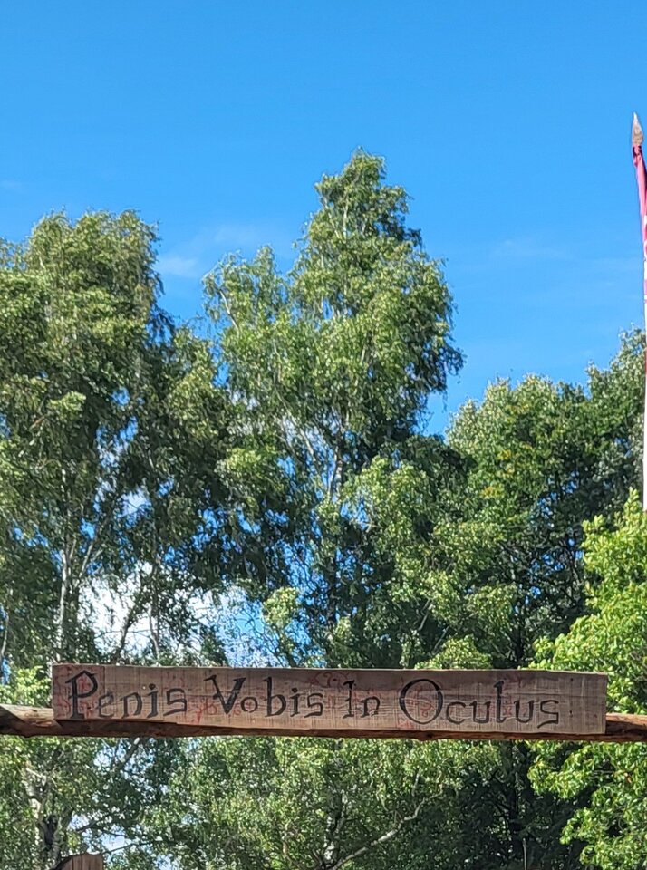 20240713_163344.jpg - Kotikicia44