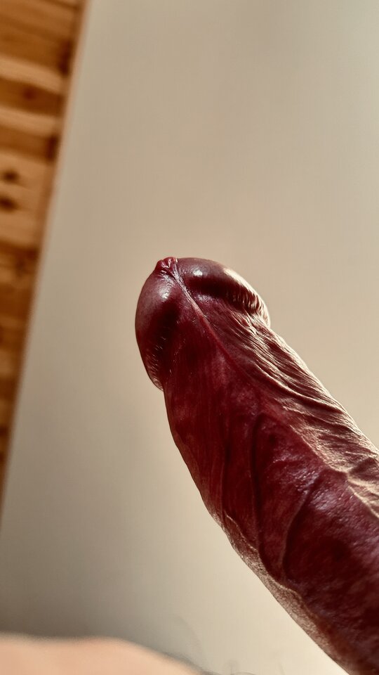 IMG_1498.jpeg - bondjames728