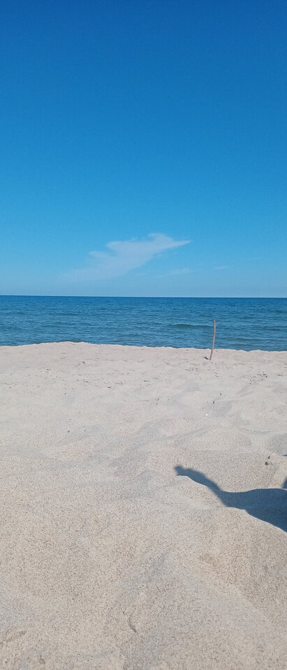 IMG_20240721_103731_5.jpg - Malrzenstwo77