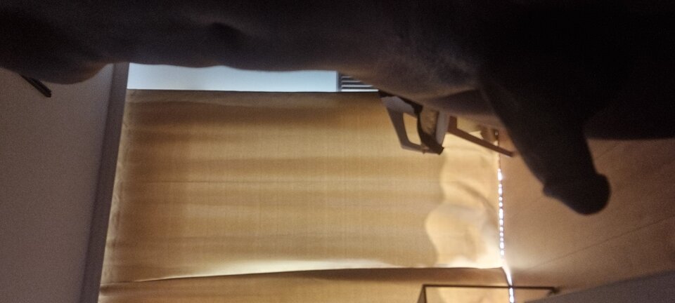 1000016885.jpg - Brown1