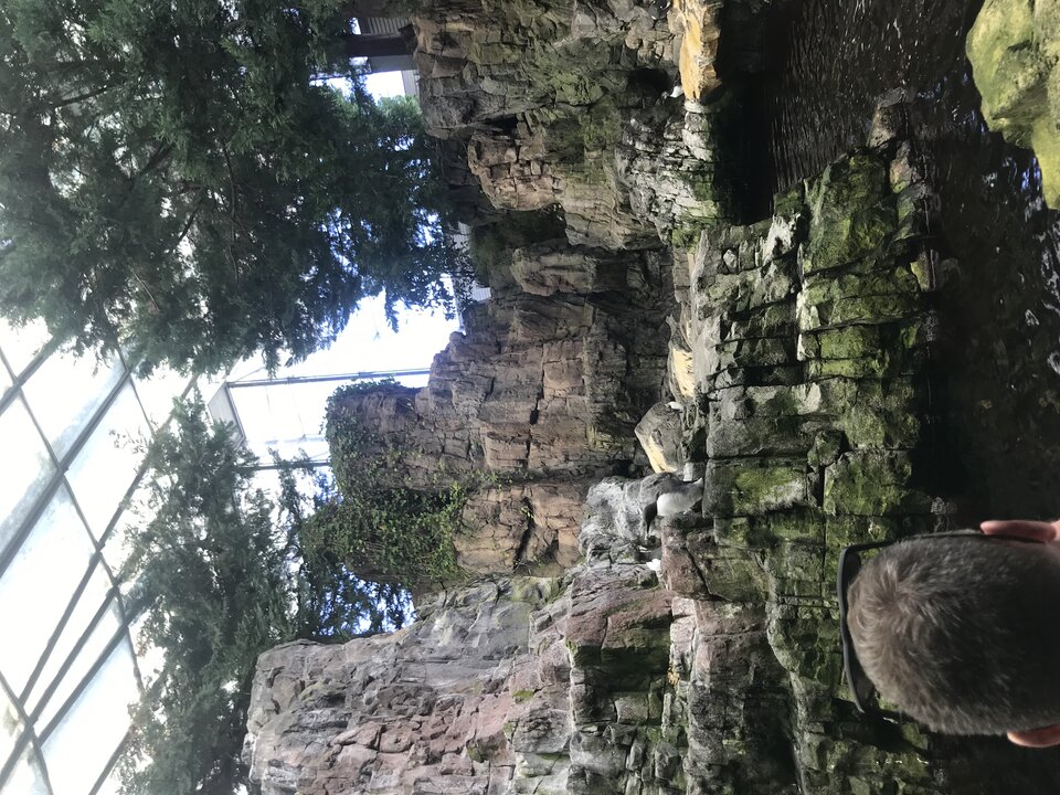 7A18E4FB-F739-4403-ABA1-DB28149C8CD8.jpeg - RozbieranyRemik