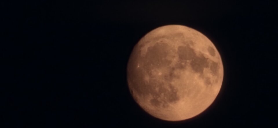 1000013453.jpg - misiek741