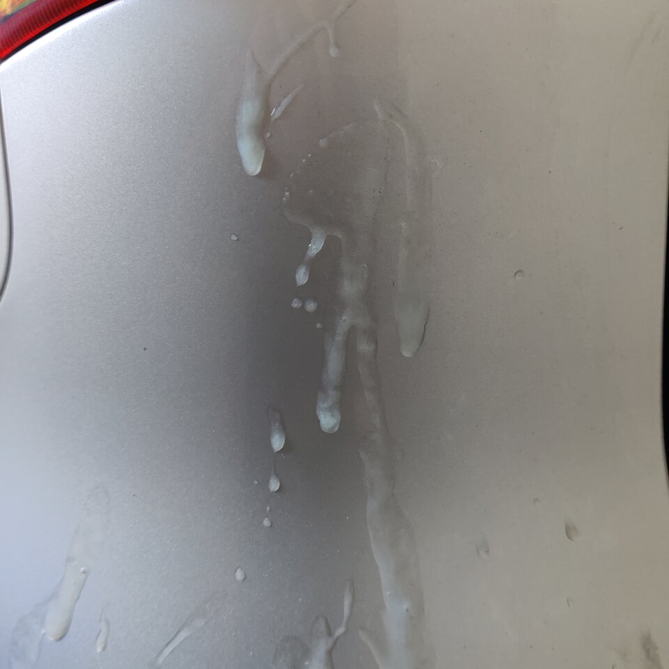 IMG_20240721_112957.jpg - Michalbisexsex