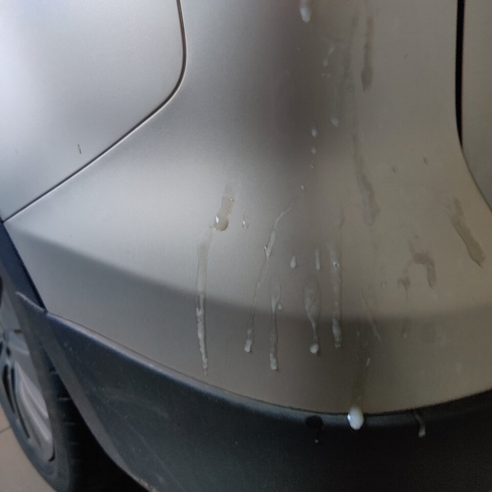 IMG_20240721_112939.jpg - Michalbisexsex