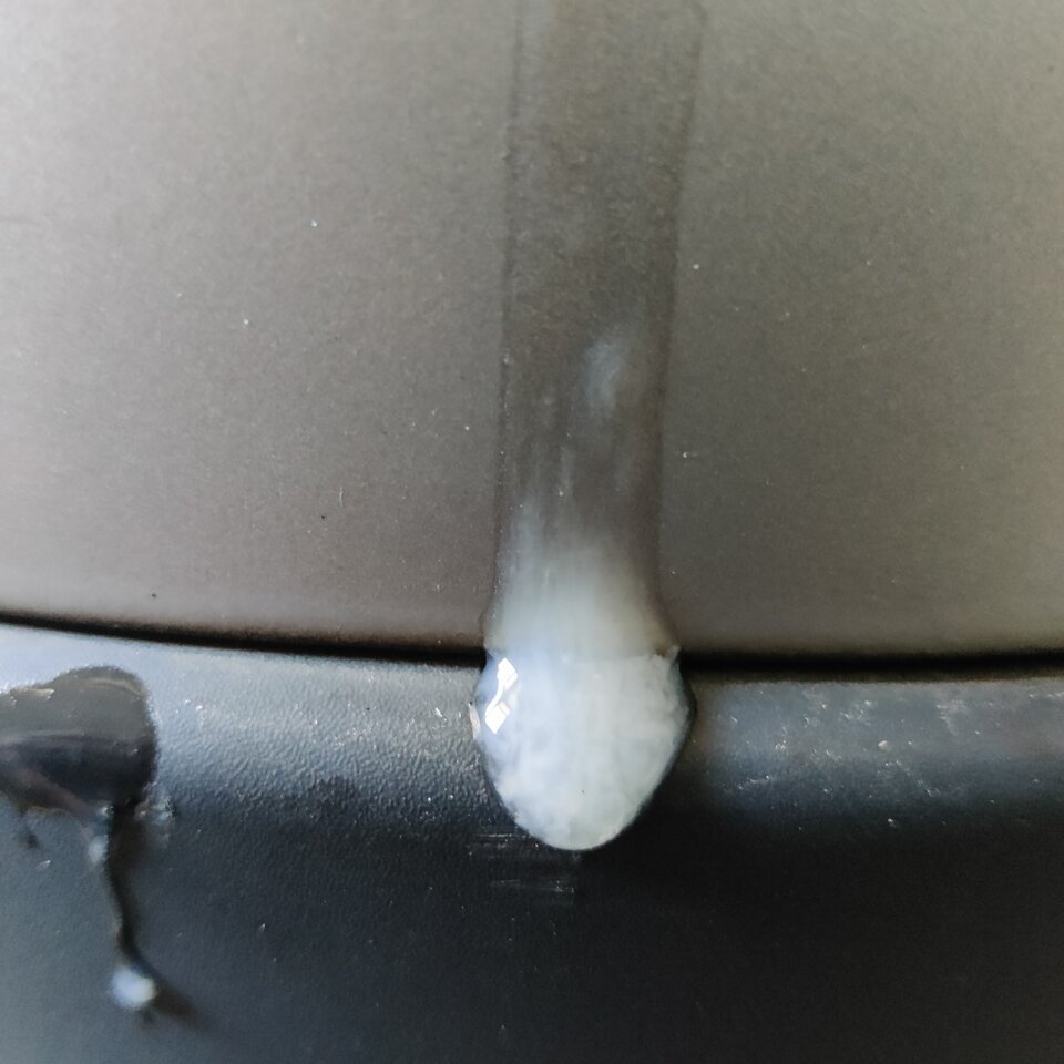 IMG_20240721_112946.jpg - Michalbisexsex