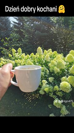 f82430bf9b62712f7518fbfdfcde398f_0.jpeg