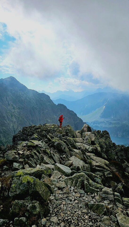 IMG_20240714_094828.jpg - As_a