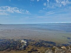 IMG-20240721-WA0000.jpg