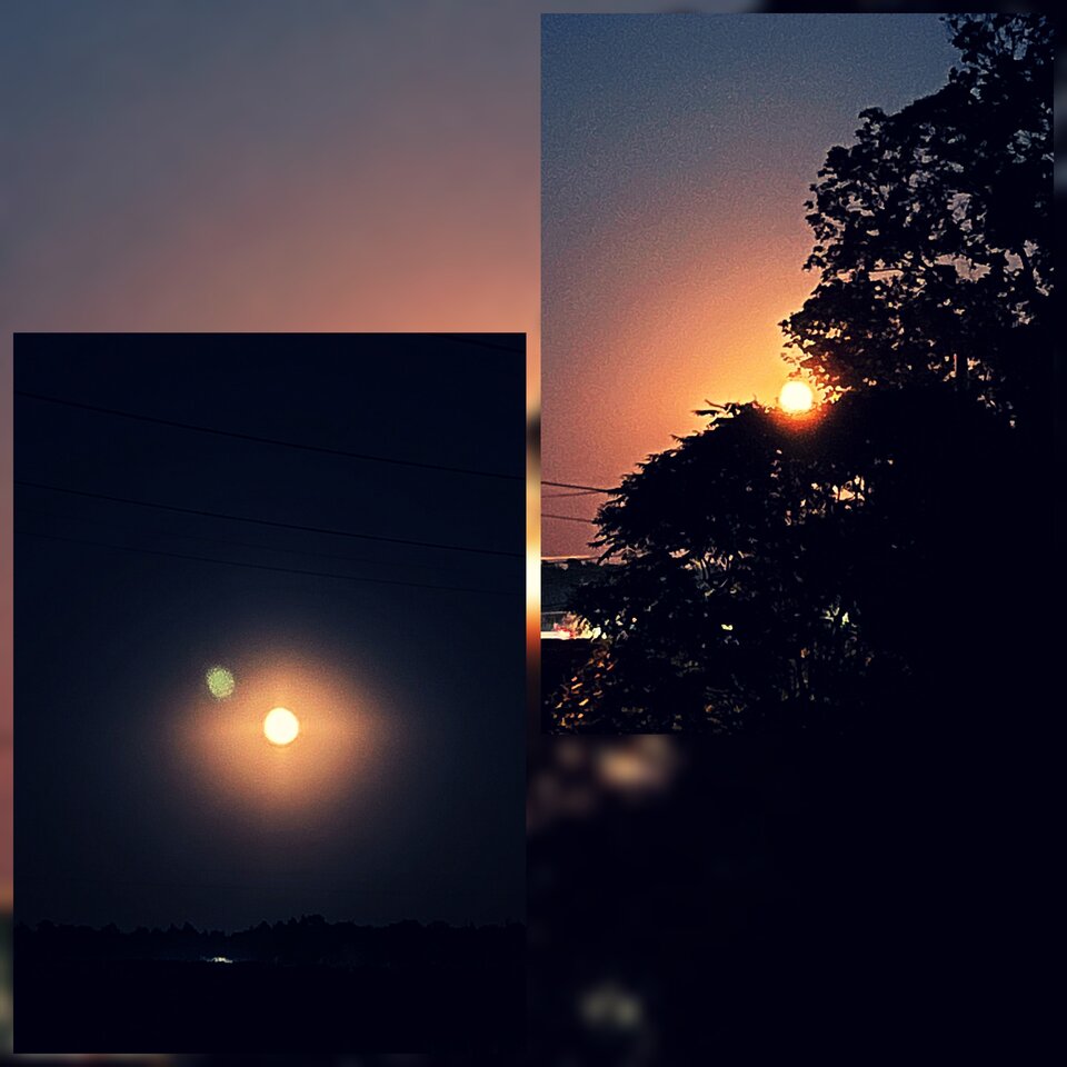 Zgadnij o kim myślę... 🦊💙 - _Pure__Evil_