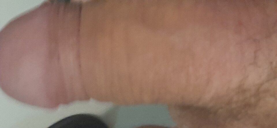 17215942078851904825332997284601.jpg - Waldezz1