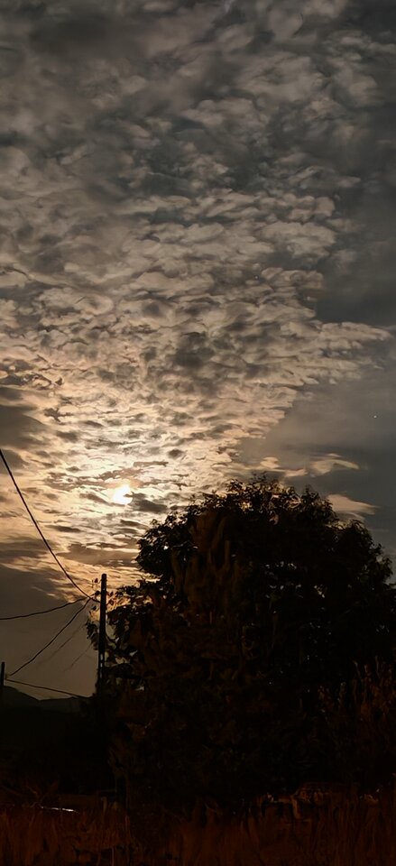 1000054286.jpg - ListonoszPuka2x