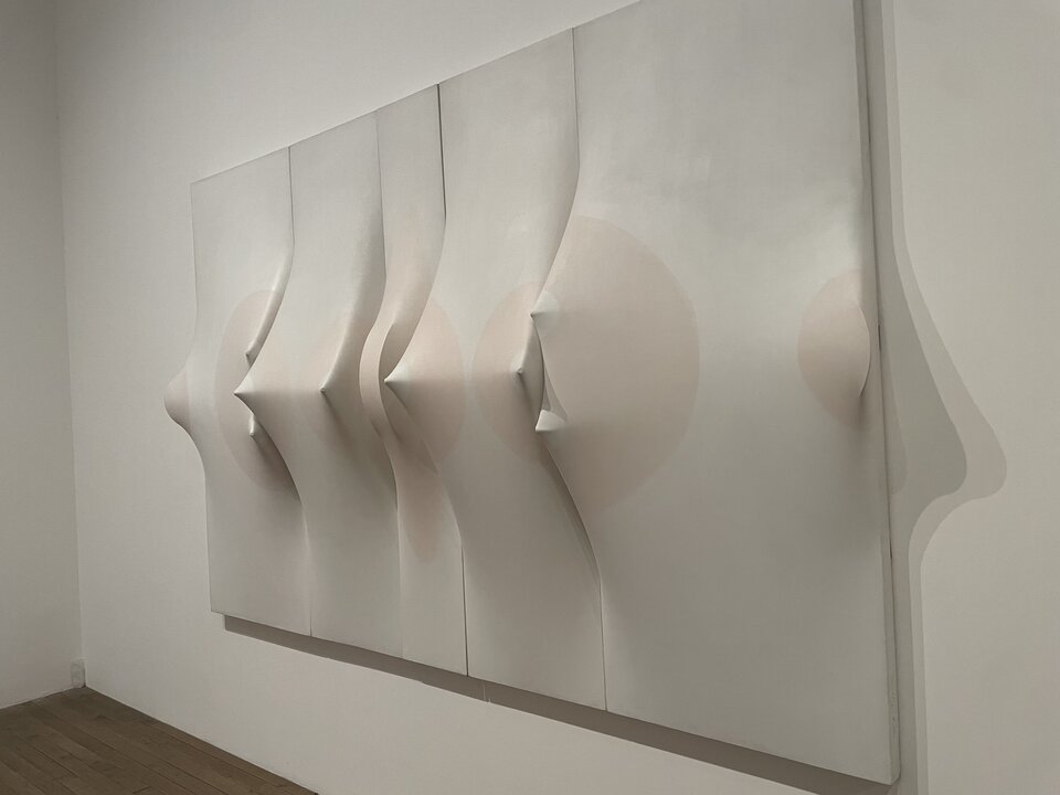 Galeria - zielon00ka