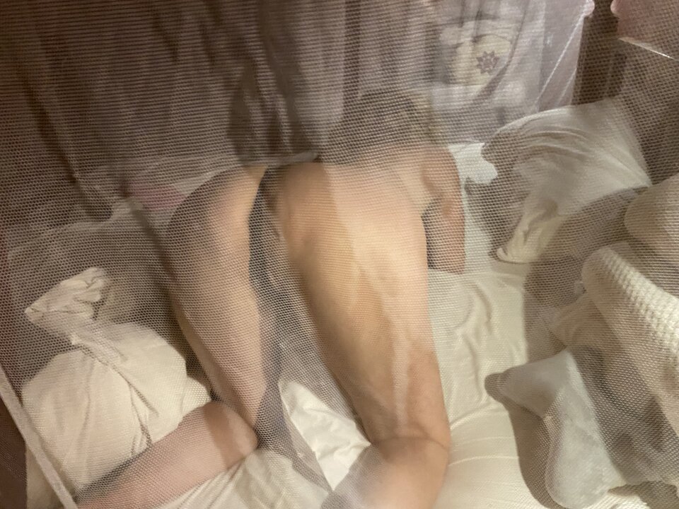 IMG_9109.jpeg - reniferka1