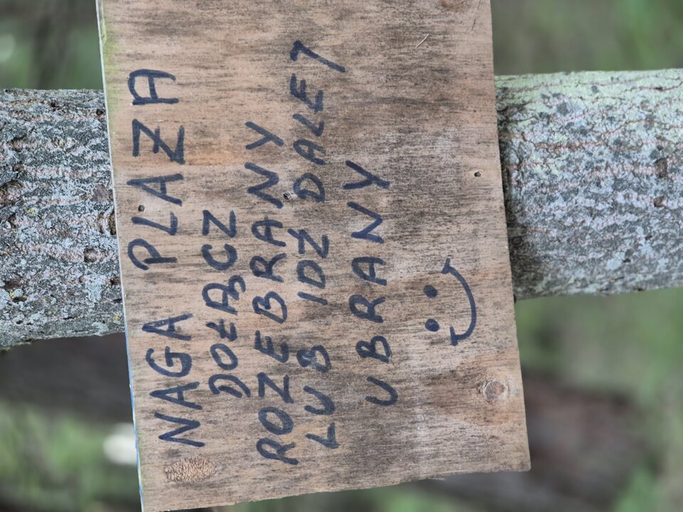 20240717_204508.jpg - AdamBrzeg48