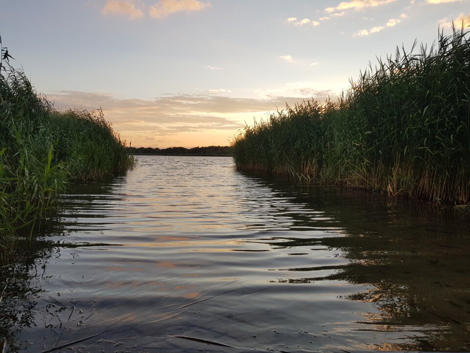 20240722_203134.jpg - TransKitty