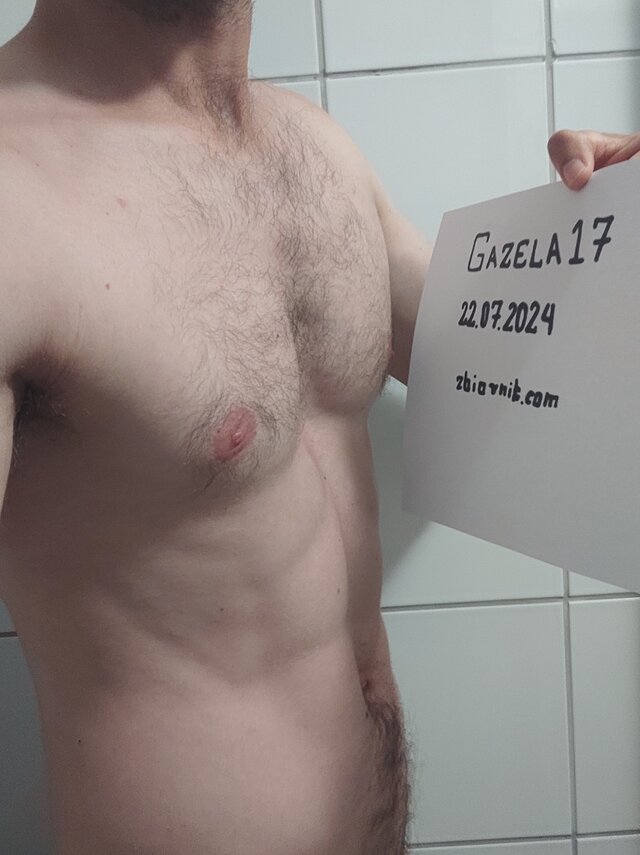Gazela17