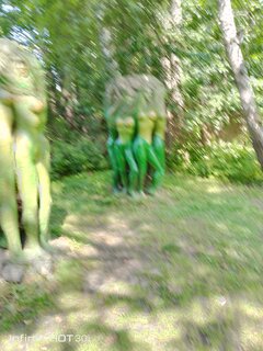 IMG_20240716_121836_274.jpg