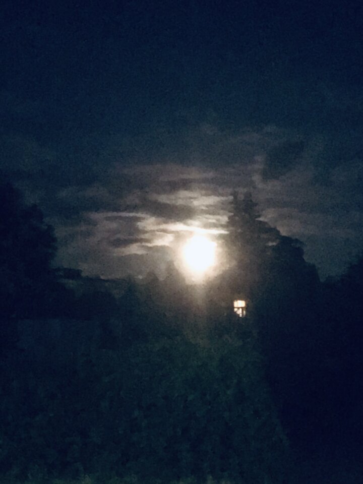 CC8AD9E1-467B-442C-AA55-7DF7E96D44D6.jpeg - RozbieranyRemik