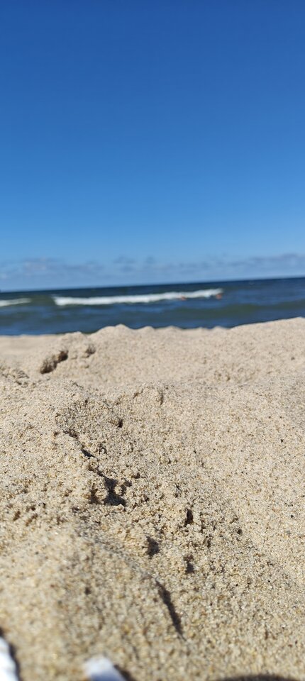 1000008549.jpg - Validazion3