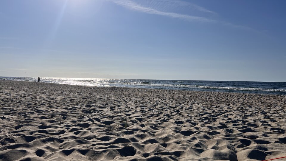 IMG_7622.jpeg - wiktor1231