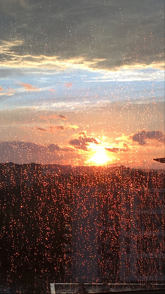 AFLD3467.jpeg - Sasiad089