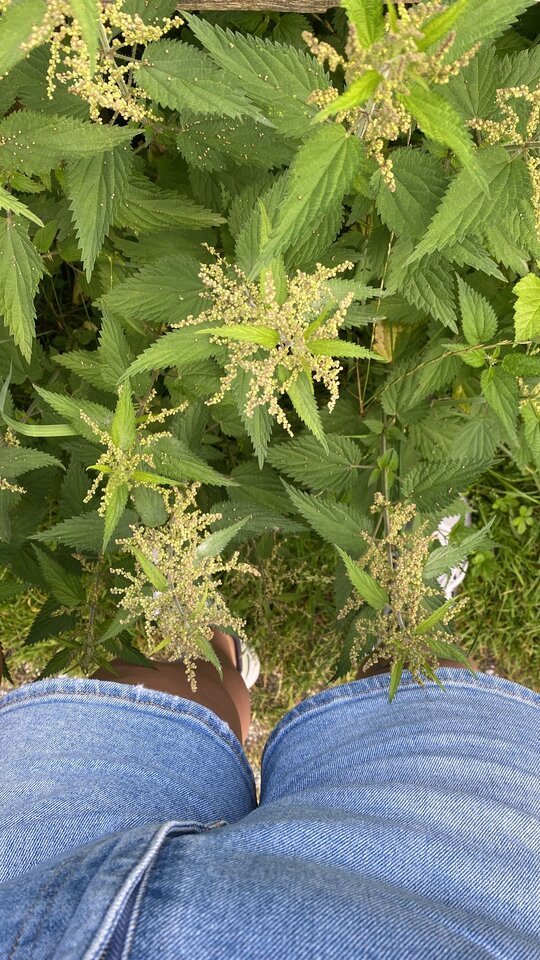 f90fecb0-8263-4af6-a56a-c8ae7197a0be.jpeg - May_Day