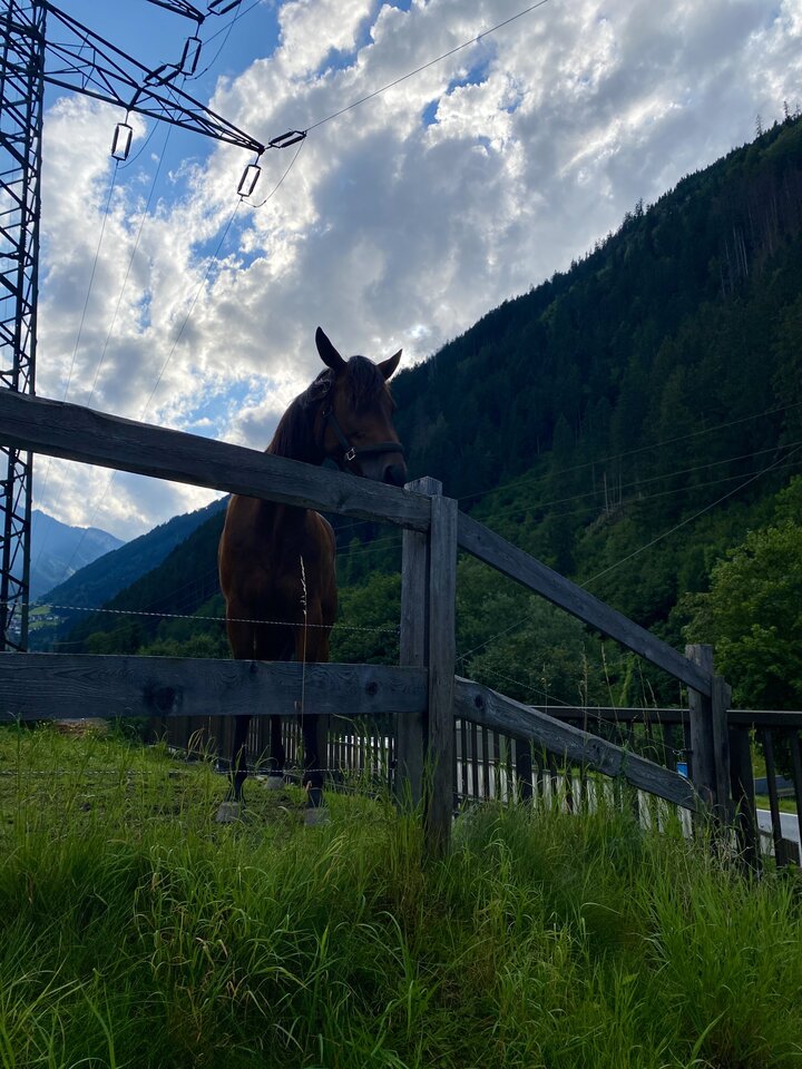 IMG_4105.jpeg - May_Day