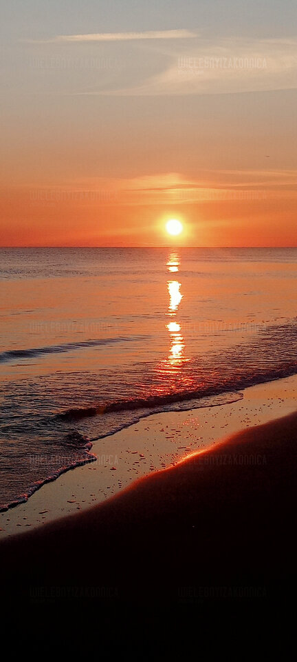 IMG20240724045719.jpg - WielebnyiZakonnica