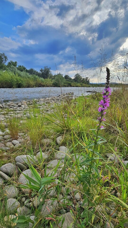 20240723 - nowytomas