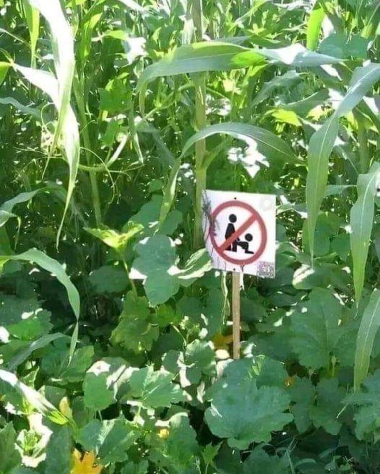 IMG_20240724_183118.jpg - maluch205