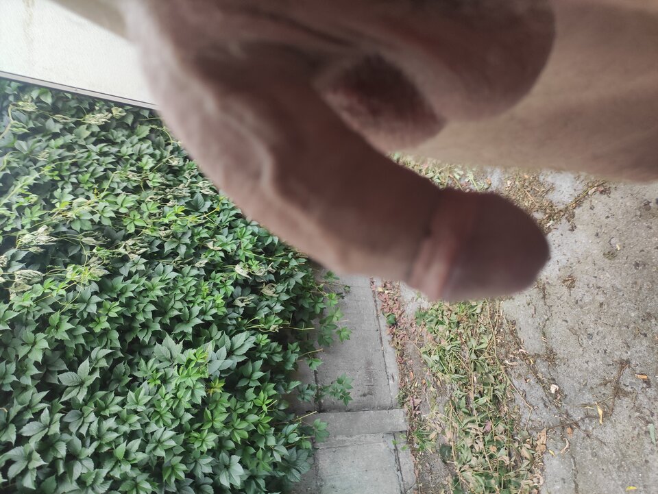 IMG_20240724_173531.jpg - Adamadam1978