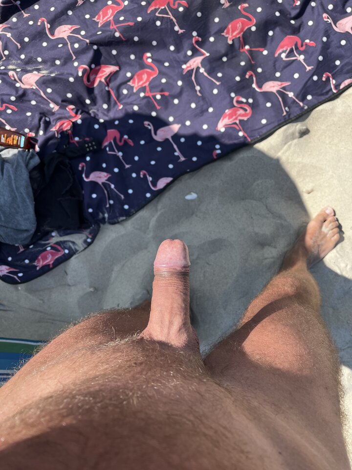 IMG_4805.jpeg - para0