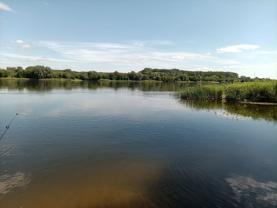 IMG_20240723_145622_919.jpg - loverboy1