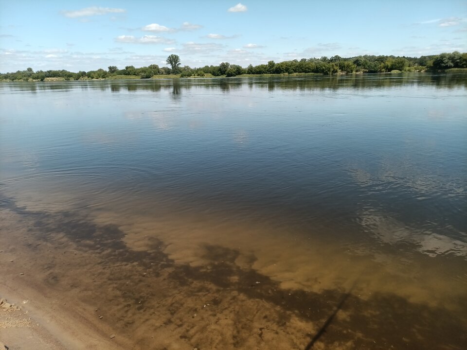 IMG_20240723_145620_854.jpg - loverboy1