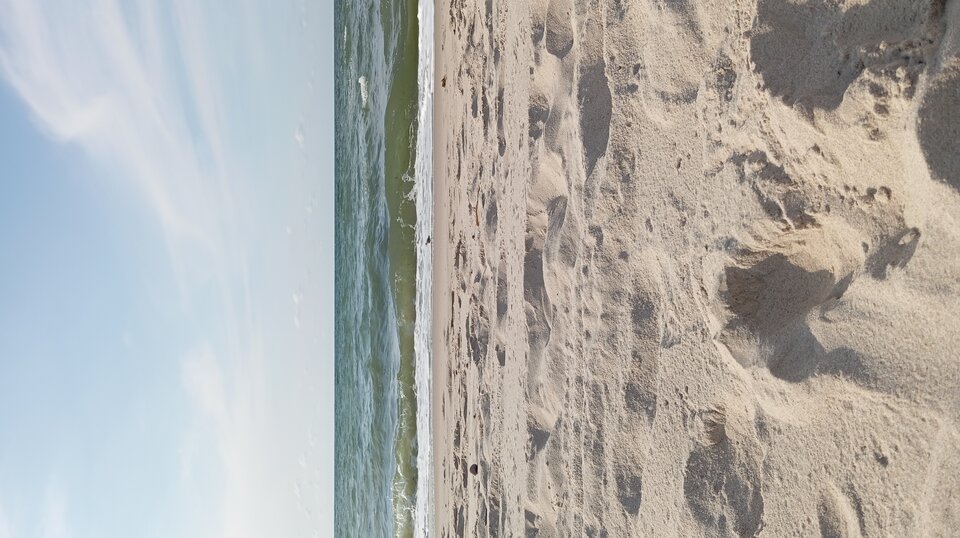 1000008753.jpg - Passion88