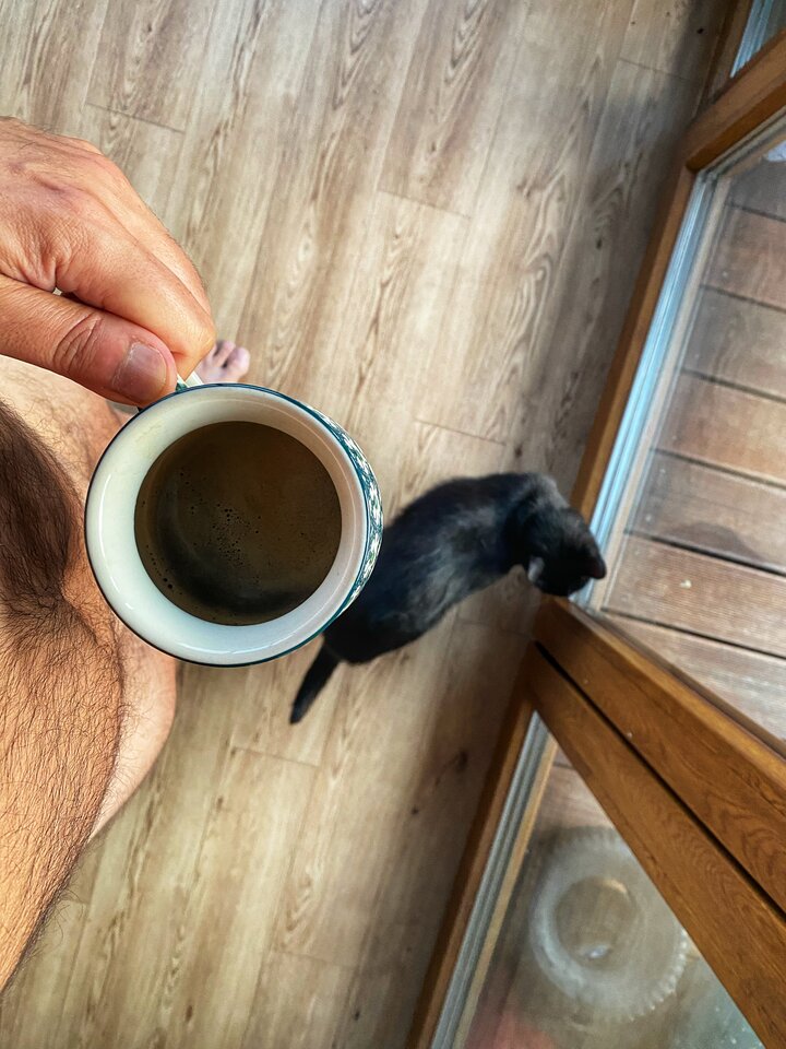 🐈  ☕️ - serialowapara19782