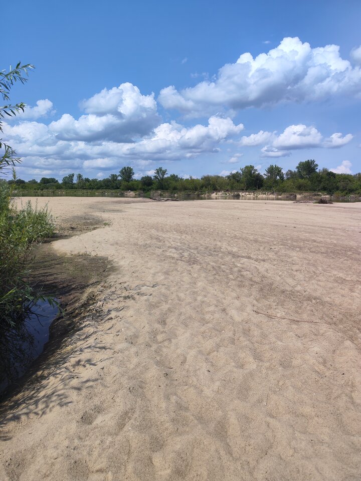 2024-07-2613.40.006217688453674043377.jpg - tom6970