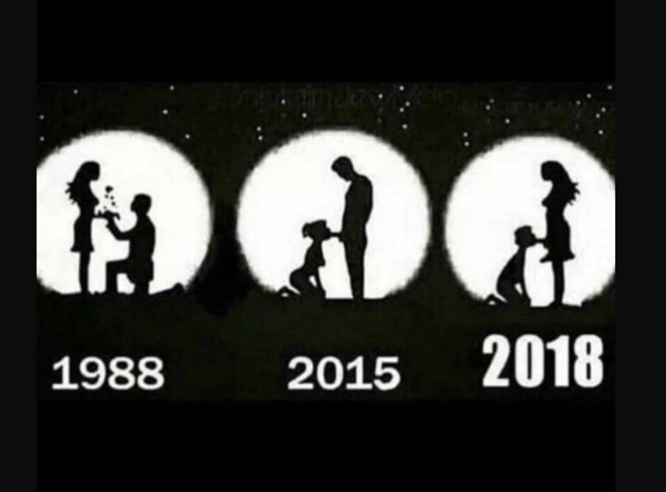 IMG_0683.jpeg - Helot